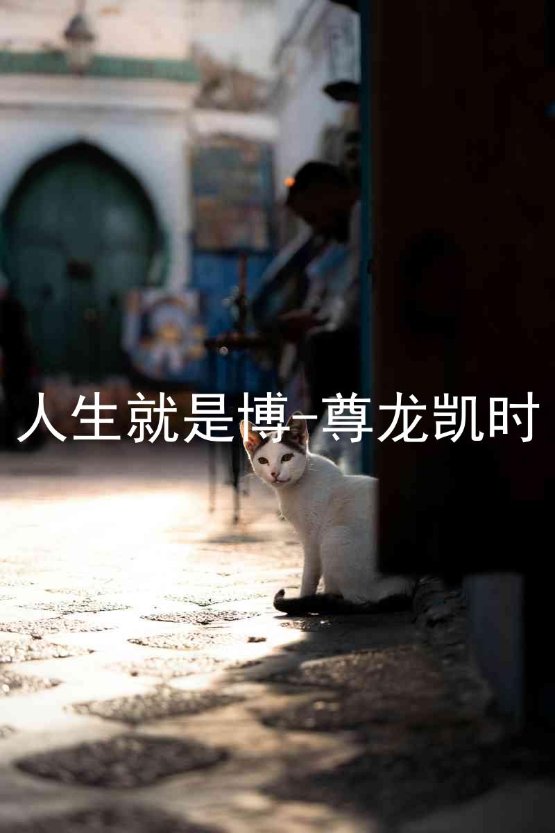 人生就是博-尊龙凯时